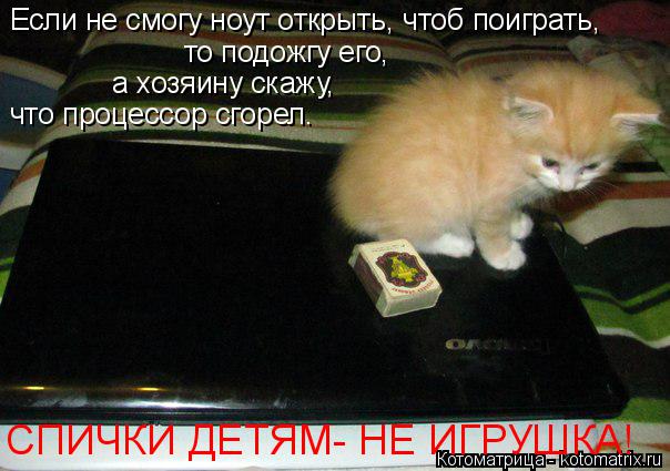 Котоматрица: Если не смогу ноут открыть, чтоб поиграть, то подожгу его, а хозяину скажу, что процессор сгорел. СПИЧКИ ДЕТЯМ- НЕ ИГРУШКА!
