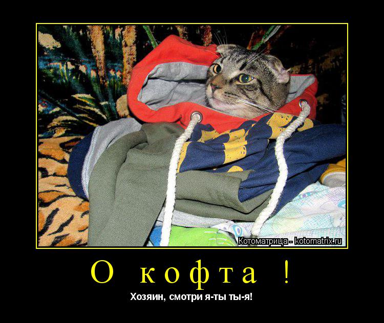 О кофта ! Хозяин, смотри я-ты ты-я!... Котоматрица: О кофта ! Хозяин, смотри я-ты ты-я!