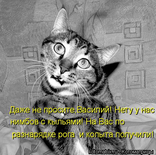 Даже не просите,Василий! Нету у нас нимбов с кыльями! На Вас по разнарядке рога и копыта получили!... Котоматрица: Даже не просите,Василий! Нету у нас нимбов с кыльями! На Вас по разнарядке рога и копыта получили!