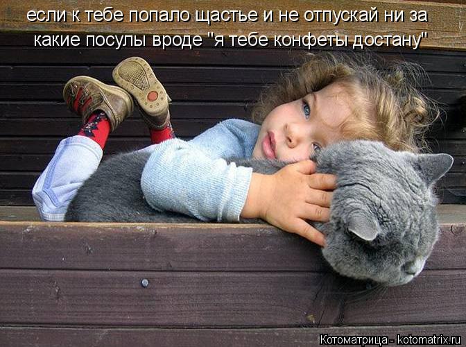 если к тебе попало щастье и не отпускай ни за какие посулы вроде "я тебе конфеты достану"... Котоматрица: если к тебе попало щастье и не отпускай ни за какие посулы вроде "я тебе конфеты достану"