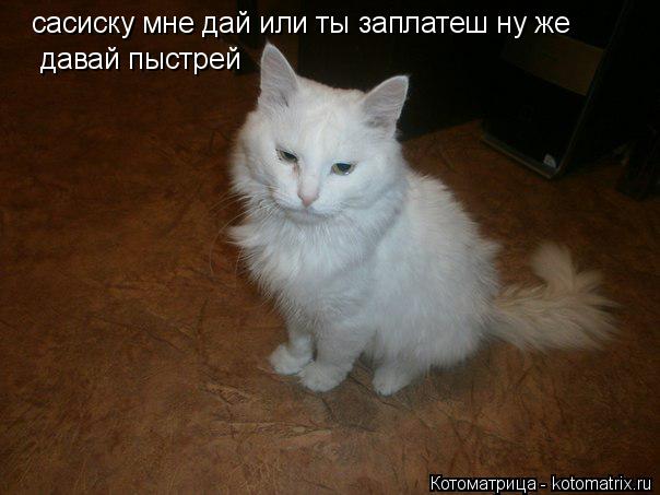 сасиску мне дай или ты заплатеш ну же давай пыстрей... Котоматрица: сасиску мне дай или ты заплатеш ну же давай пыстрей
