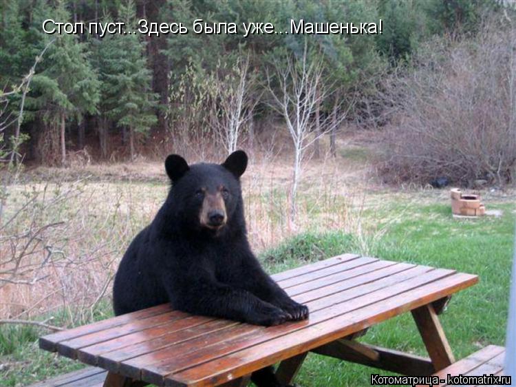 Стол пуст...Здесь была уже...Машенька!... Котоматрица: Стол пуст...Здесь была уже...Машенька!
