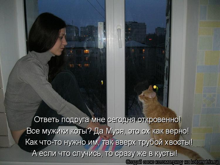 Как что-то нужно им, так вверх трубой хвосты! А если что случись, то сразу же в кусты! Ответь подруга... Котоматрица: Как что-то нужно им, так вверх трубой хвосты! А если что случись, то сразу же в кусты! Ответь подруга мне сегодня откровенно! Все мужики коты?