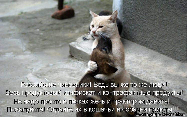 Не надо просто в печках жечь и трактором давить! Весь продуктовый конфискат и контрафактные продукты... Котоматрица: Не надо просто в печках жечь и трактором давить! Весь продуктовый конфискат и контрафактные продукты! Российские чиновники! Ведь вы же то ж