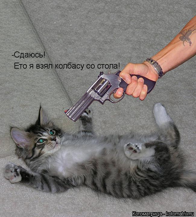 -Сдаюсь! Ето я взял колбасу со стола!... Котоматрица: -Сдаюсь! Ето я взял колбасу со стола!
