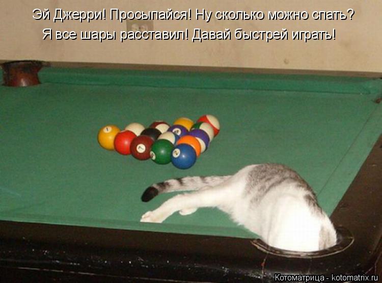 Эй Джерри! Просыпайся! Ну сколько можно спать? Я все шары расставил! Давай быстрей играть!... Котоматрица: Эй Джерри! Просыпайся! Ну сколько можно спать? Я все шары расставил! Давай быстрей играть!