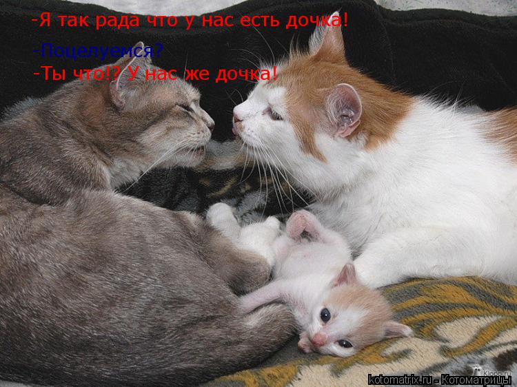 -Я так рада что у нас есть дочка! -Поцелуемся? -Ты что!? У нас же дочка!... Котоматрица: -Я так рада что у нас есть дочка! -Поцелуемся? -Ты что!? У нас же дочка!