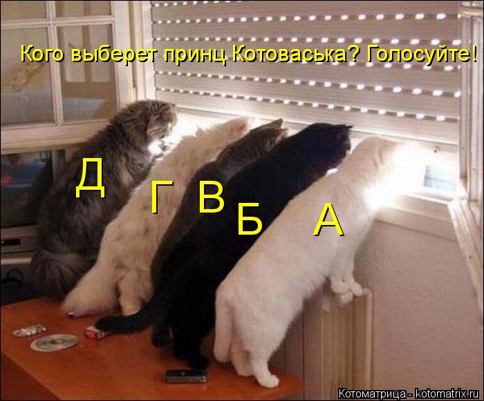 Кого выберет принц Котоваська? Голосуйте! Кого выберет принц Котоваська? Голосуйте! Г В Б А Д... Котоматрица: Кого выберет принц Котоваська? Голосуйте! Кого выберет принц Котоваська? Голосуйте! Г В Б А Д