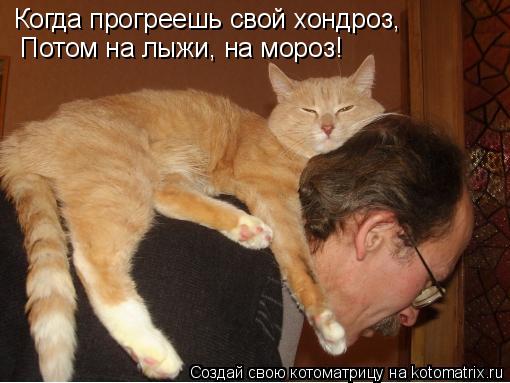 Когда прогреешь свой хондроз, Потом на лыжи, на мороз!... Котоматрица: Когда прогреешь свой хондроз, Потом на лыжи, на мороз!
