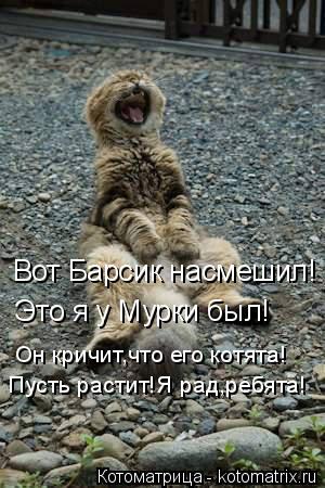 Пусть растит!Я рад,ребята! Он кричит,что его котята! Это я у Мурки был! Вот Барсик насмешил!... Котоматрица: Пусть растит!Я рад,ребята! Он кричит,что его котята! Это я у Мурки был! Вот Барсик насмешил!