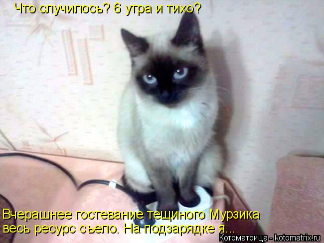 Что случилось? 6 утра и тихо? Вчерашнее гостевание тещиного Мурзика весь ресурс съело. На подзарядке... Котоматрица: Что случилось? 6 утра и тихо? Вчерашнее гостевание тещиного Мурзика весь ресурс съело. На подзарядке я...