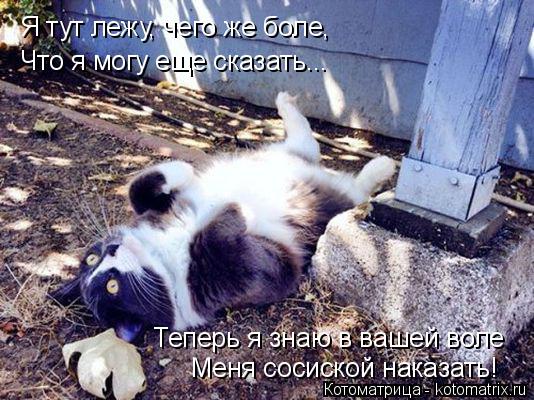 Я тут лежу, чего же боле, Что я могу еще сказать... Теперь я знаю в вашей воле Меня сосиской наказать... Котоматрица: Я тут лежу, чего же боле, Что я могу еще сказать... Теперь я знаю в вашей воле Меня сосиской наказать!