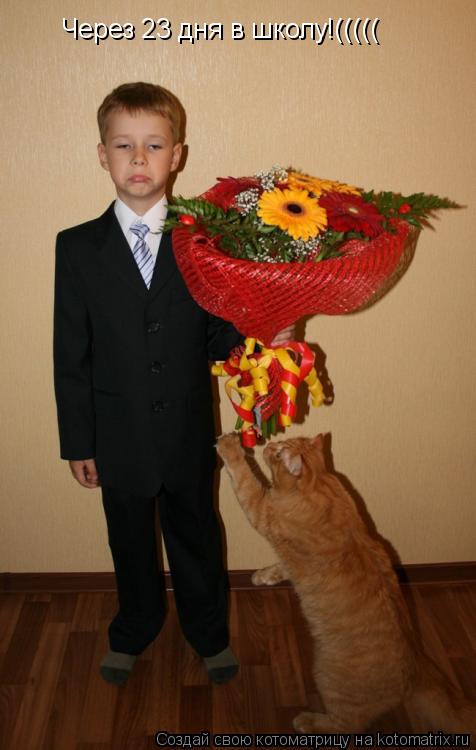 Через 23 дня в школу!(((((... Котоматрица: Через 23 дня в школу!(((((