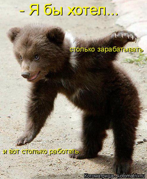 - Я бы хотел... столько зарабатывать и вот столько работать.... Котоматрица: - Я бы хотел... столько зарабатывать и вот столько работать.