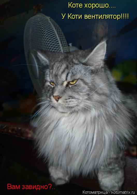 Коте хорошо.... У Коти вентилятор!!!! Вам завидно?..... Котоматрица: Коте хорошо.... У Коти вентилятор!!!! Вам завидно?..