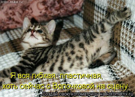 Я вся гибкая, пластичная, хоть сейчас с Волочковой на сцену... Котоматрица: Я вся гибкая, пластичная, хоть сейчас с Волочковой на сцену