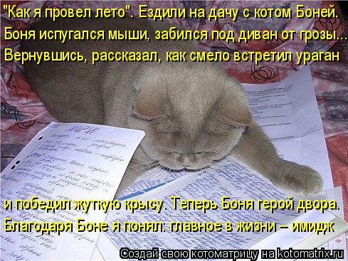 "Как я провел лето". Ездили на дачу с котом Боней. Боня испугался мыши, забился под диван от грозы...... Котоматрица: "Как я провел лето". Ездили на дачу с котом Боней. Боня испугался мыши, забился под диван от грозы... Вернувшись, рассказал, как смело встретил
