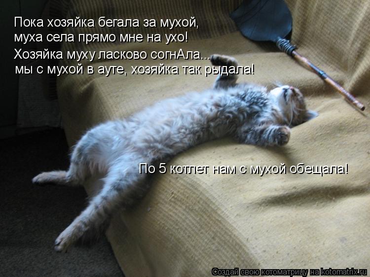 Пока хозяйка бегала за мухой, муха села прямо мне на ухо! Хозяйка муху ласково согнАла... мы с мухой... Котоматрица: Пока хозяйка бегала за мухой, муха села прямо мне на ухо! Хозяйка муху ласково согнАла... мы с мухой в ауте, хозяйка так рыдала! По 5 котлет нам