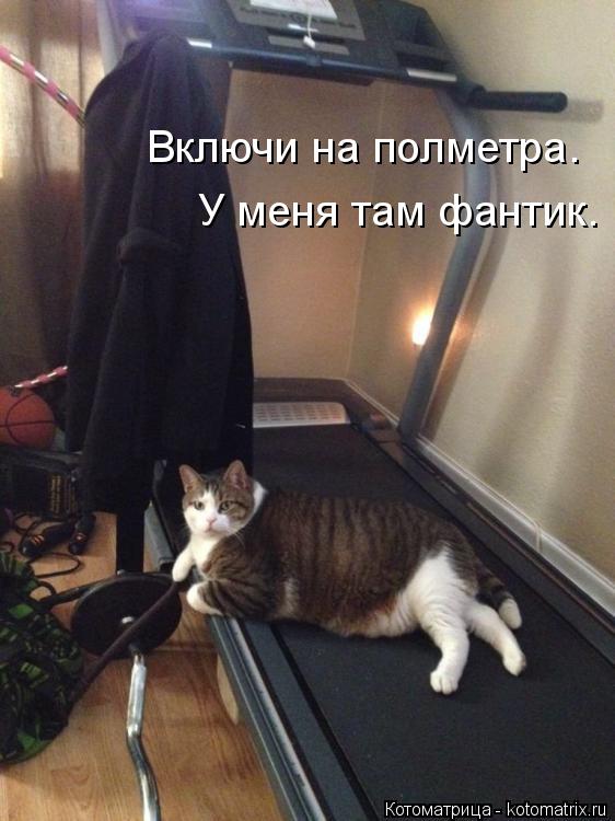 Включи на полметра. У меня там фантик.... Котоматрица: Включи на полметра. У меня там фантик.