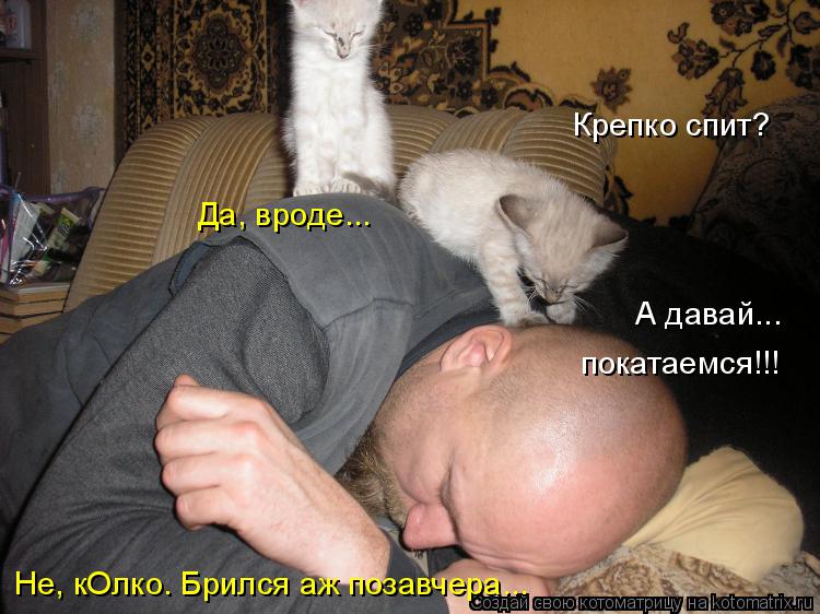 Крепко спит? А давай... покатаемся!!! Да, вроде... Не, кОлко. Брился аж позавчера...... Котоматрица: Крепко спит? А давай... покатаемся!!! Да, вроде... Не, кОлко. Брился аж позавчера...