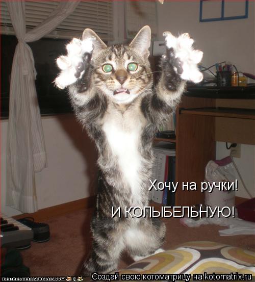 Хочу на ручки! И КОЛЫБЕЛЬНУЮ!... Котоматрица: Хочу на ручки! И КОЛЫБЕЛЬНУЮ!