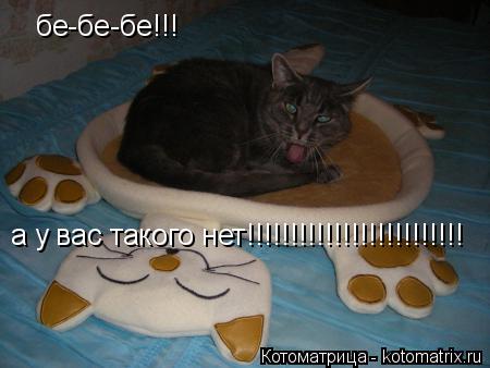 бе-бе-бе!!! а у вас такого нет!!!!!!!!!!!!!!!!!!!!!!!!!... Котоматрица: бе-бе-бе!!! а у вас такого нет!!!!!!!!!!!!!!!!!!!!!!!!!