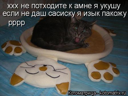 ххх не потходите к амне я укушу если не даш сасиску я изык пакожу рррр... Котоматрица: ххх не потходите к амне я укушу если не даш сасиску я изык пакожу рррр