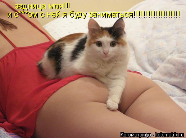 задница моя!!! и с***ом с ней я буду заниматься!!!!!!!!!!!!!!!!!!!... Котоматрица: задница моя!!! и с***ом с ней я буду заниматься!!!!!!!!!!!!!!!!!!!