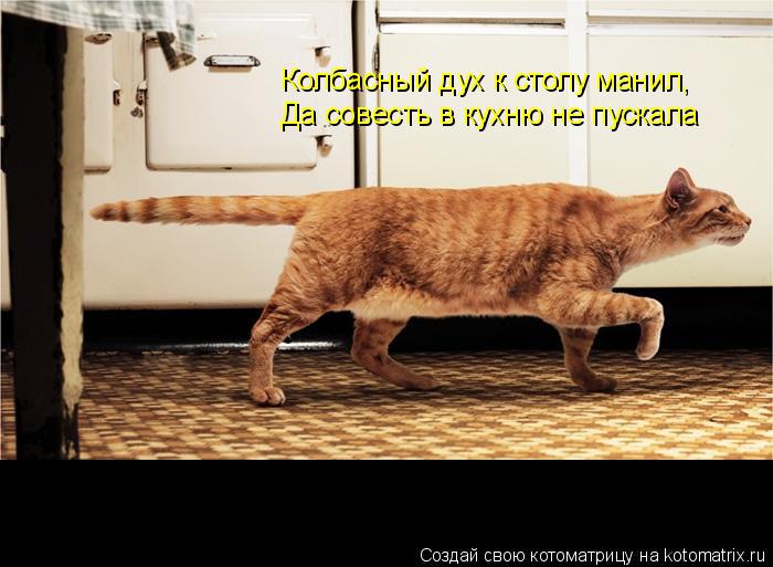 Колбасный дух к столу манил, Да совесть в кухню не пускала... Котоматрица: Колбасный дух к столу манил, Да совесть в кухню не пускала