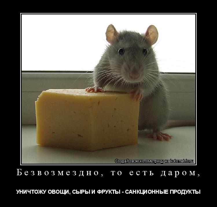 Безвозмездно, то есть даром, УНИЧТОЖУ ОВОЩИ, СЫРЫ И ФРУКТЫ - САНКЦИОННЫЕ ПРОДУКТЫ... Котоматрица: Безвозмездно, то есть даром, УНИЧТОЖУ ОВОЩИ, СЫРЫ И ФРУКТЫ - САНКЦИОННЫЕ ПРОДУКТЫ