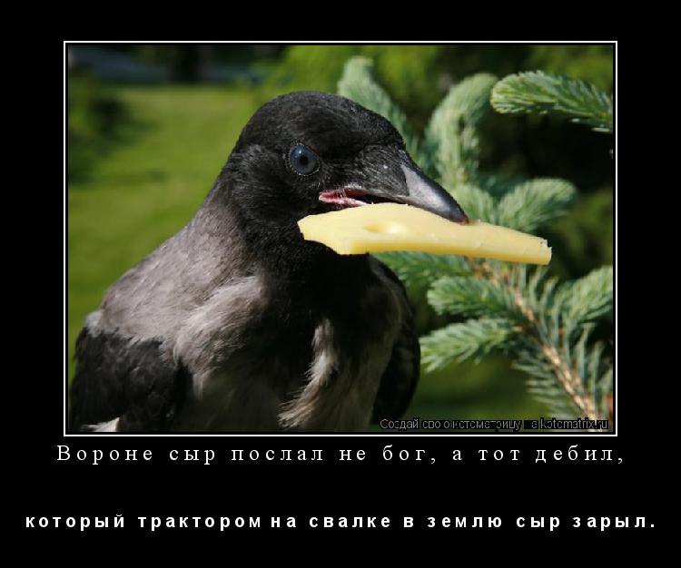 Вороне сыр послал не бог, а тот дебил, к о т о р ы й т р а к т о р о м н а с в а л к е в з ... Котоматрица: Вороне сыр послал не бог, а тот дебил, к о т о р ы й т р а к т о р о м н а с в а л к е в з е м л ю с ы р з а р ы л .