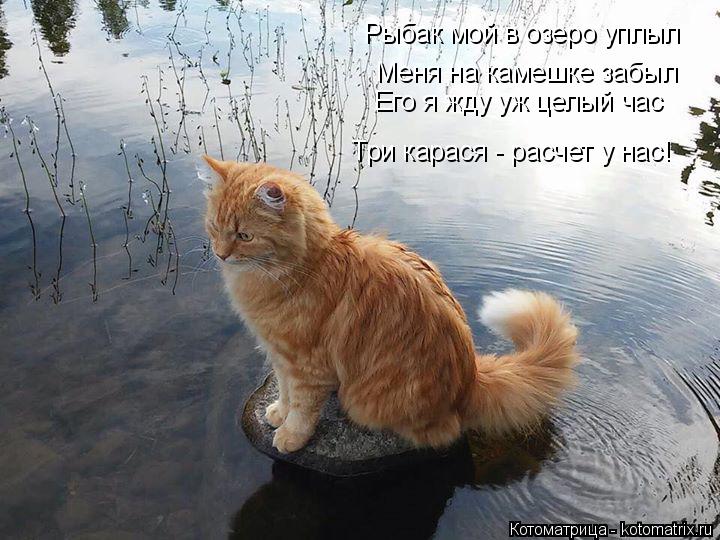 Рыбак мой в озеро уплыл Меня на камешке забыл Его я жду уж целый час Три карася - расчет у нас!... Котоматрица: Рыбак мой в озеро уплыл Меня на камешке забыл Его я жду уж целый час Три карася - расчет у нас!