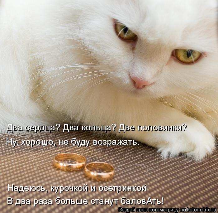 Два сердца? Два кольца? Две половинки? Надеюсь, курочкой и осетринкой В два раза больше станут баловА... Котоматрица: Два сердца? Два кольца? Две половинки? Надеюсь, курочкой и осетринкой В два раза больше станут баловАть! Ну, хорошо, не буду возражать.