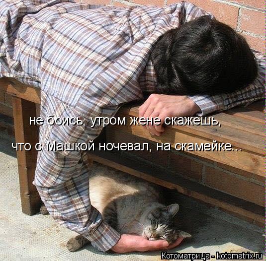 не боись, утром жене скажешь, что с Машкой ночевал, на скамейке...... Котоматрица: не боись, утром жене скажешь, что с Машкой ночевал, на скамейке...