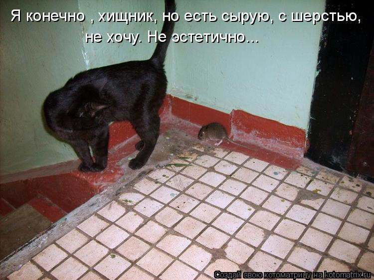 Я конечно , хищник, но есть сырую, с шерстью, не хочу. Не эстетично...... Котоматрица: Я конечно , хищник, но есть сырую, с шерстью, не хочу. Не эстетично...