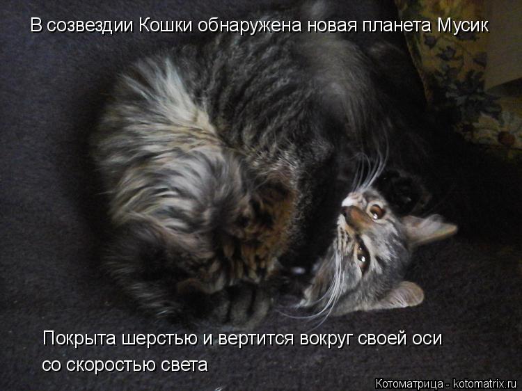 В созвездии Кошки обнаружена новая планета Мусик Покрыта шерстью и вертится вокруг своей оси со скор... Котоматрица: В созвездии Кошки обнаружена новая планета Мусик Покрыта шерстью и вертится вокруг своей оси со скоростью света