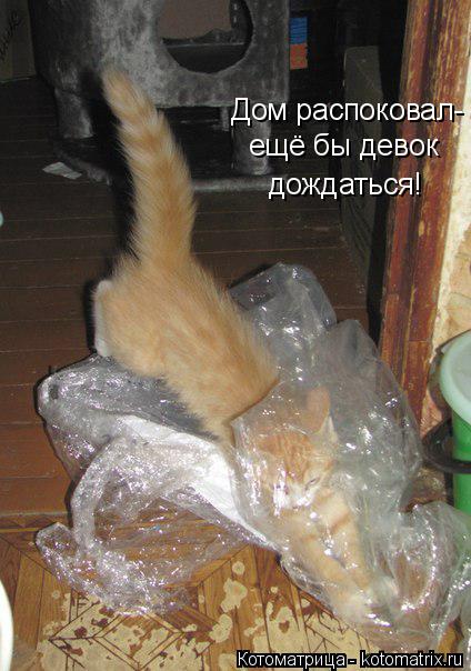 Котоматрица: Дом распоковал- ещё бы девок дождаться!