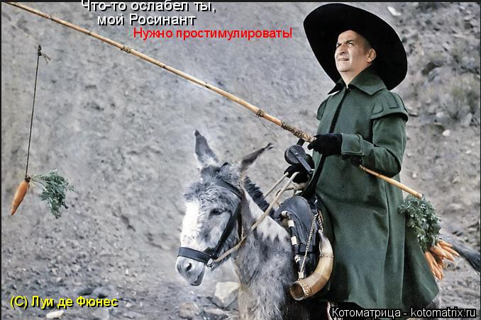 Нужно простимулировать! (С) Луи де Фюнес Что-то ослабел ты, мой Росинант... Котоматрица: Нужно простимулировать! (С) Луи де Фюнес Что-то ослабел ты, мой Росинант