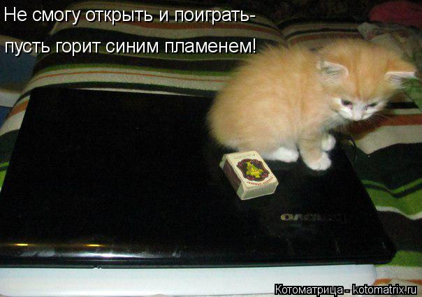 пусть горит синим пламенем! Не смогу открыть и поиграть-... Котоматрица: пусть горит синим пламенем! Не смогу открыть и поиграть-