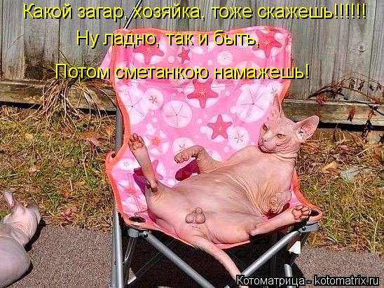 Какой загар, хозяйка, тоже скажешь!!!!!! Ну ладно, так и быть, Потом сметанкою намажешь!... Котоматрица: Какой загар, хозяйка, тоже скажешь!!!!!! Ну ладно, так и быть, Потом сметанкою намажешь!
