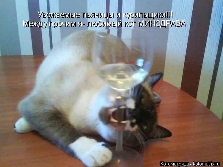 Увожаемые пьяницы и курильщики!!! Между прочим я- любимый кот МИНЗДРАВА... Котоматрица: Увожаемые пьяницы и курильщики!!! Между прочим я- любимый кот МИНЗДРАВА