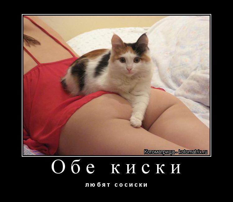 Обе киски л ю б я т с о с и с к и... Котоматрица: Обе киски л ю б я т с о с и с к и