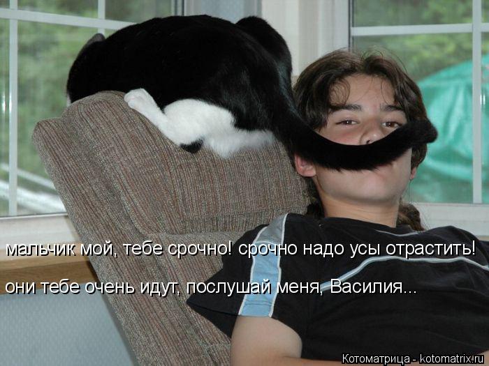 мальчик мой, тебе срочно! срочно надо усы отрастить! они тебе очень идут, послушай меня, Василия...... Котоматрица: мальчик мой, тебе срочно! срочно надо усы отрастить! они тебе очень идут, послушай меня, Василия...