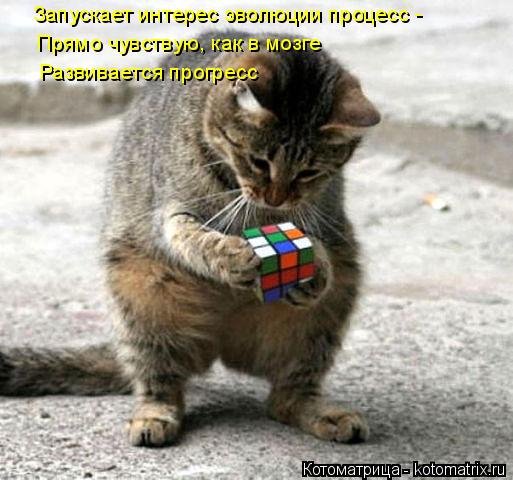 Запускает интерес эволюции процесс - Прямо чувствую, как в мозге Развивается прогресс... Котоматрица: Запускает интерес эволюции процесс - Прямо чувствую, как в мозге Развивается прогресс