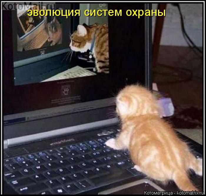 эволюция систем охраны... Котоматрица: эволюция систем охраны