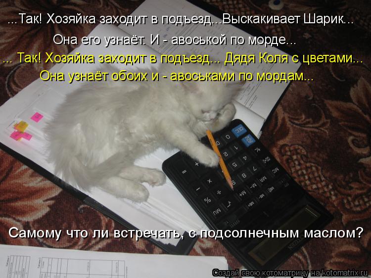 ...Так! Хозяйка заходит в подъезд...Выскакивает Шарик... Она его узнаёт. И - авоськой по морде... ...... Котоматрица: ...Так! Хозяйка заходит в подъезд...Выскакивает Шарик... Она его узнаёт. И - авоськой по морде... ... Так! Хозяйка заходит в подъезд... Дядя Коля с цв