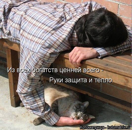 Из всех богатств ценней всего - Руки защита и тепло.... Котоматрица: Из всех богатств ценней всего - Руки защита и тепло.