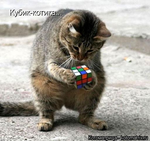 Кубик-котика...... Котоматрица: Кубик-котика...