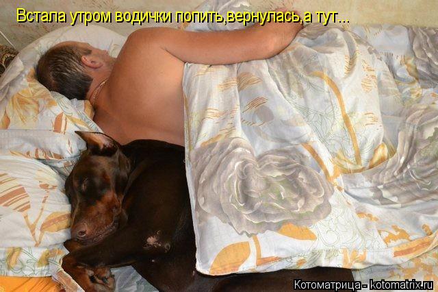 Встала утром водички попить,вернулась,а тут...... Котоматрица: Встала утром водички попить,вернулась,а тут...