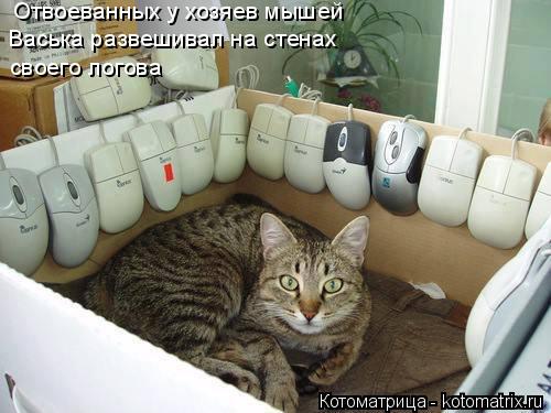 Отвоеванных у хозяев мышей Васька развешивал на стенах своего логова... Котоматрица: Отвоеванных у хозяев мышей Васька развешивал на стенах своего логова